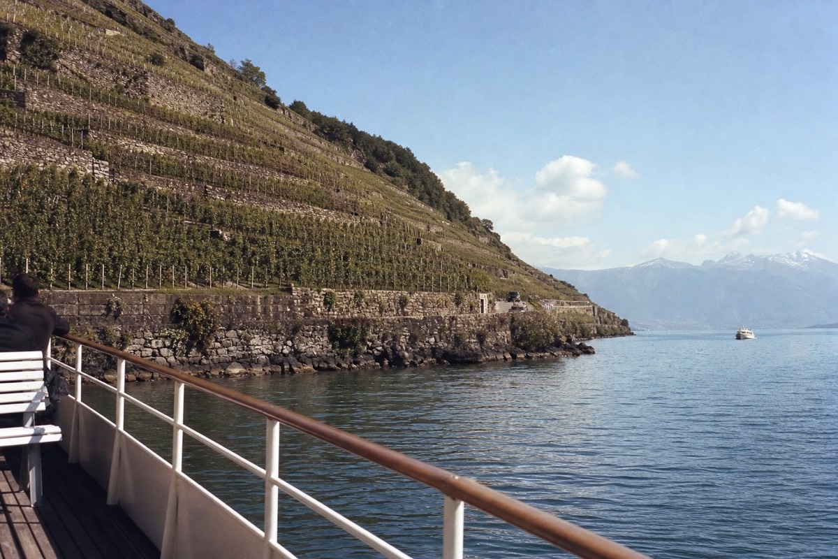 Lausanne 3-Hour Riviera & Lavaux Cruise