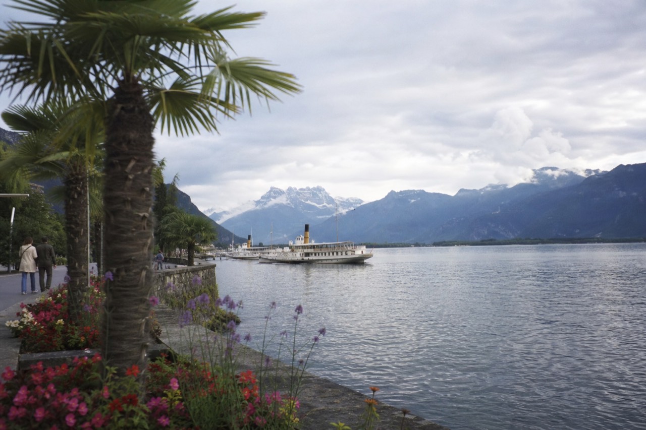 The Montreux lakeside promenade on Lake Geneva in Switzerland, flowerbeds and palm trees along the water with the Alps rising across the lake