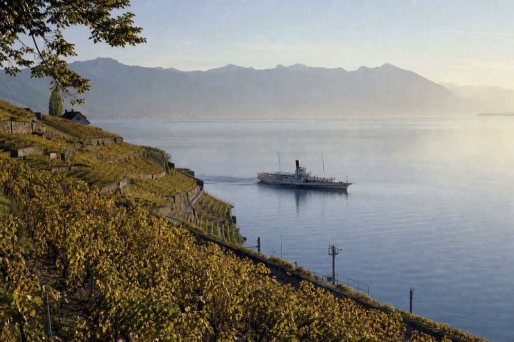 The Lavaux vineyard terraces above Lac Léman between Lausanne and Vevey, stone walls and vines dropping to the water