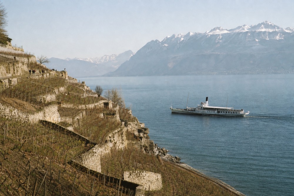 A CGN boat passing the Lavaux vineyard terraces on Lake Geneva between Lausanne and Vevey, the dry-stone terraces stepping down to the water