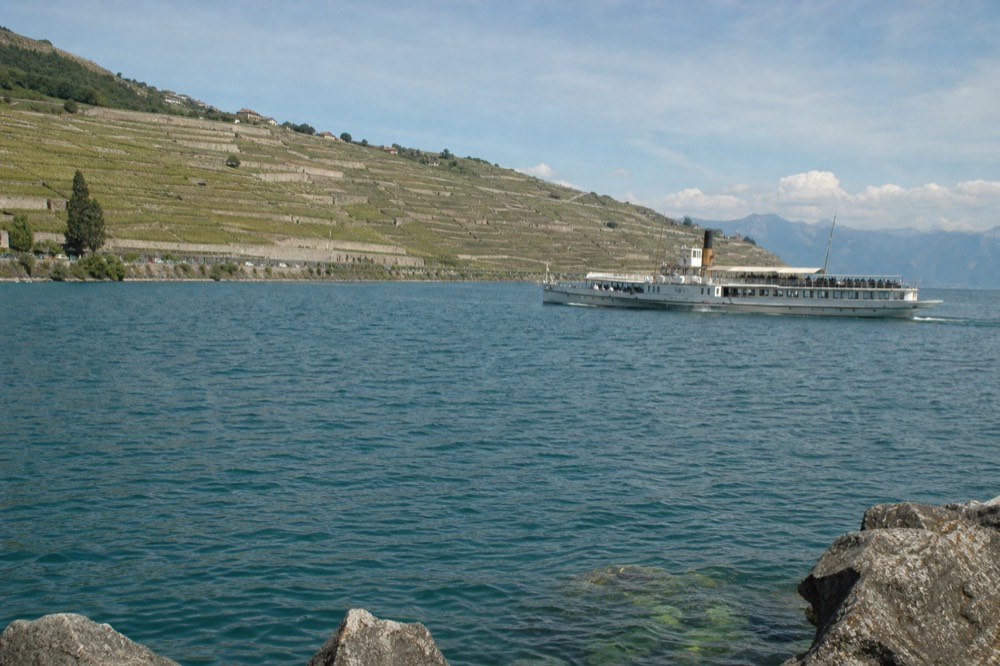 A CGN cruise boat on Lac Léman off the Lavaux shore near Rivaz, terraced vineyards climbing behind