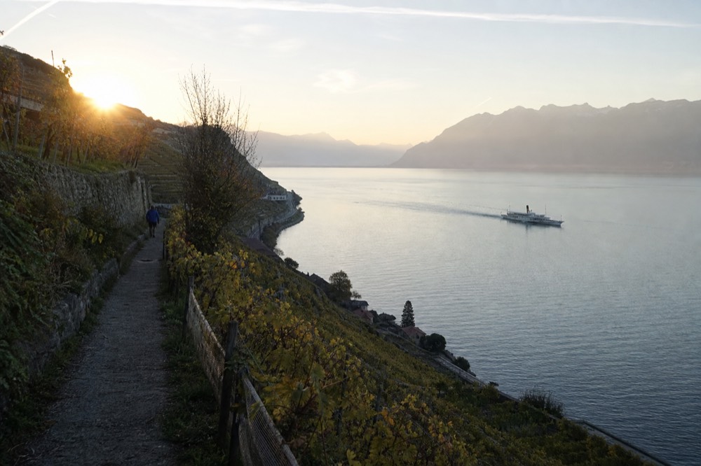 Footpath through the Lavaux vineyard terraces above Lac Léman, the lake and the far French shore below