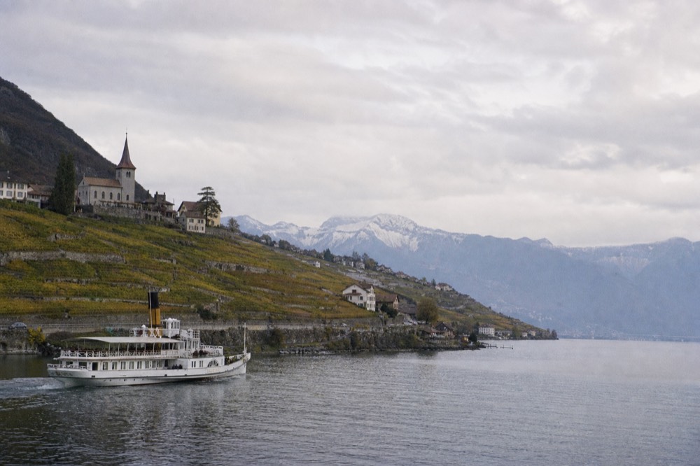 A cruise boat passing the Lavaux terraces near Saint-Saphorin on Lac Léman, the village church above the vines