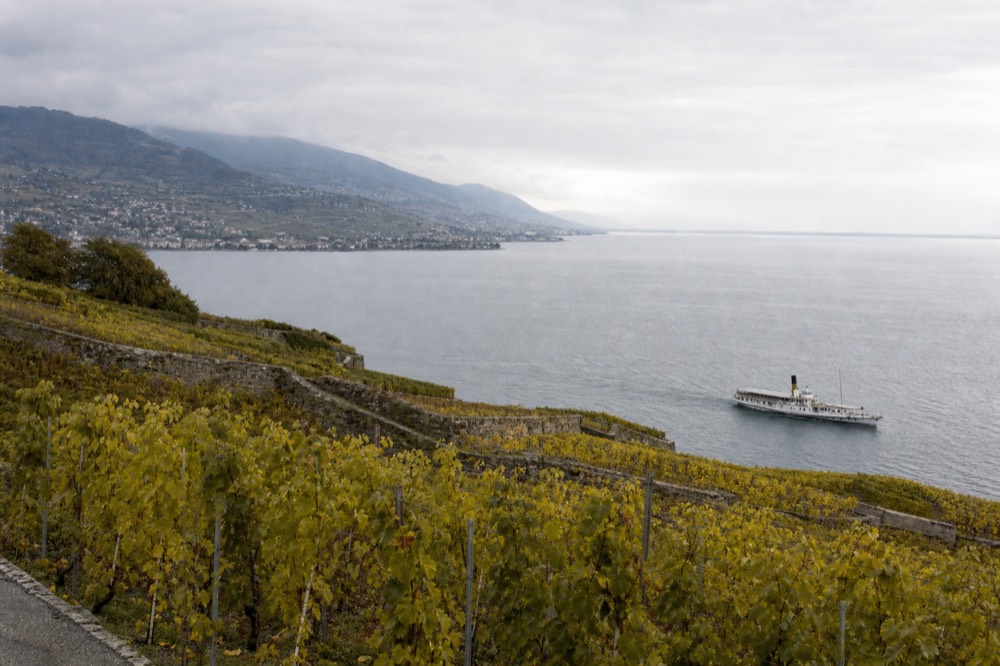 Stone-walled Lavaux vineyard terraces above the shore of Lake Geneva near Vevey under afternoon light