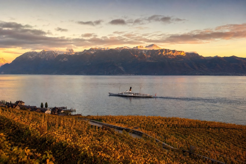 Autumn colour on the Lavaux vineyard terraces above Lake Geneva near Vevey under soft light